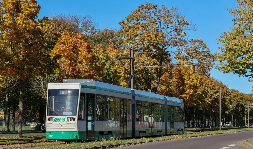 Straßenbahn der Linie 6, die durch den herbstlich verfärbten Herrenkrug Park fährt
