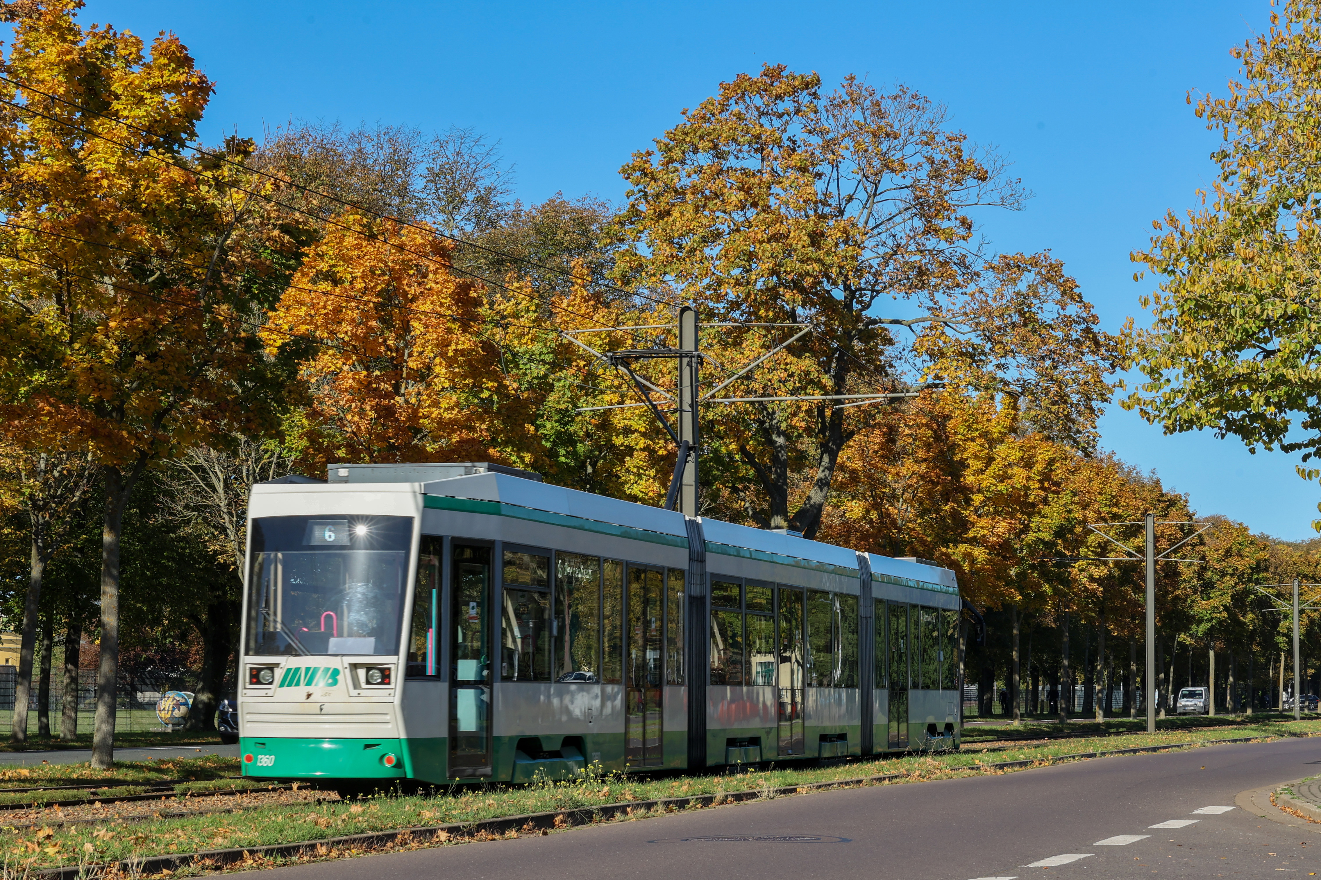 Straßenbahn der Linie 6, die durch den herbstlich verfärbten Herrenkrug Park fährt