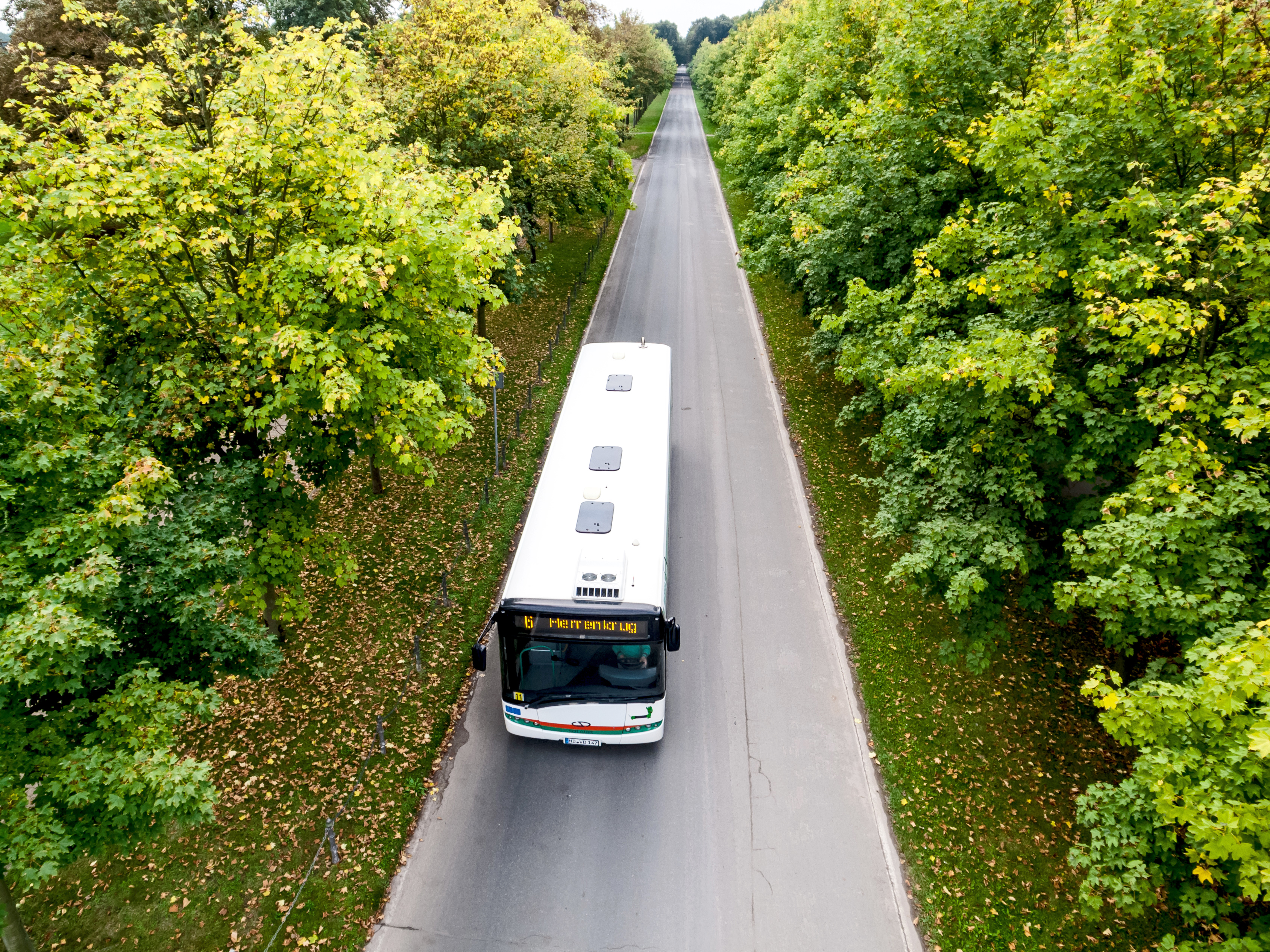 Luftaufnahme eines Busses der Linie 6, der durch den Herrenkrug fährt
