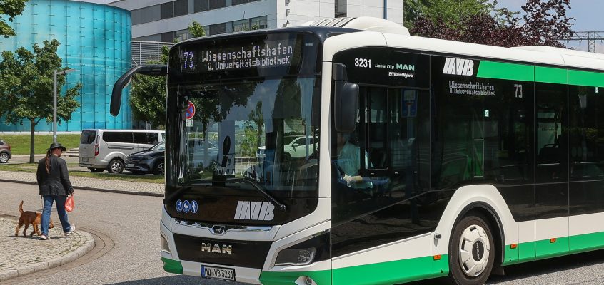 Bus der Linie 73.