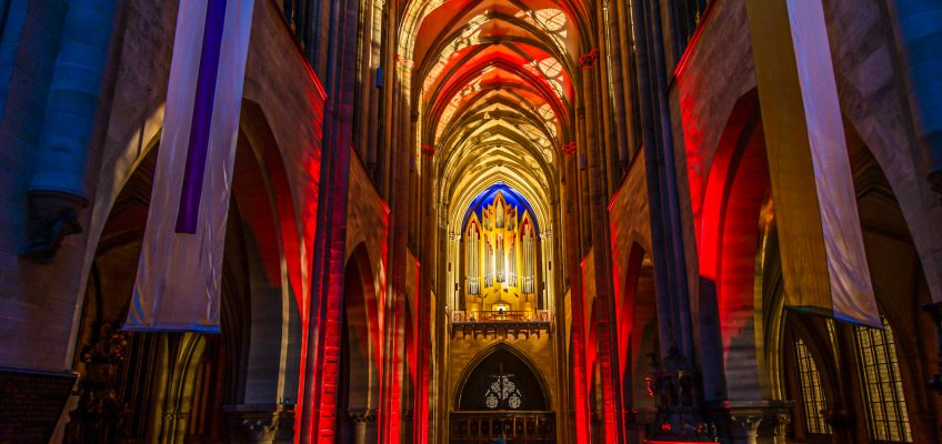 bunt beleuchteter Innenraum des Magdeburger Doms mit Blick auf die große Orgel