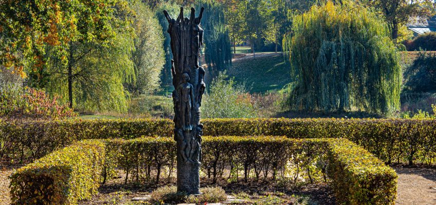 Blick in den Klosterbergegarten Foto: Gotthard Demmel
