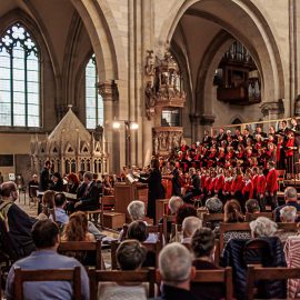 Aufnahme aus einem Konzert des Magdeburger Domchores während der Domfestspiele 2025 (Gotthard Demmel)