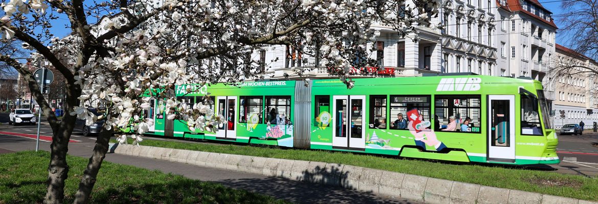 Eine Straßenbahn NGT8D mit Werbung für FAIRTIQ fährt im Frühling über die Warschauer Straße. (Foto: Peter Gercke)
